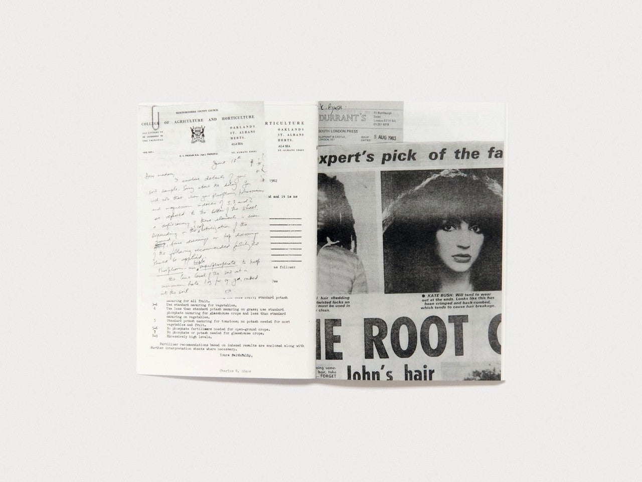 The Secret History Of Kate Bush (And The Strange Art Of Pop)