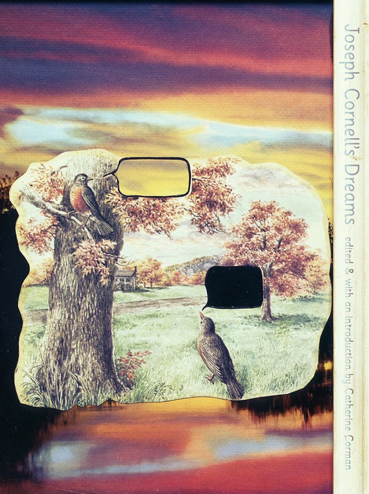 Joseph Cornell's Dreams