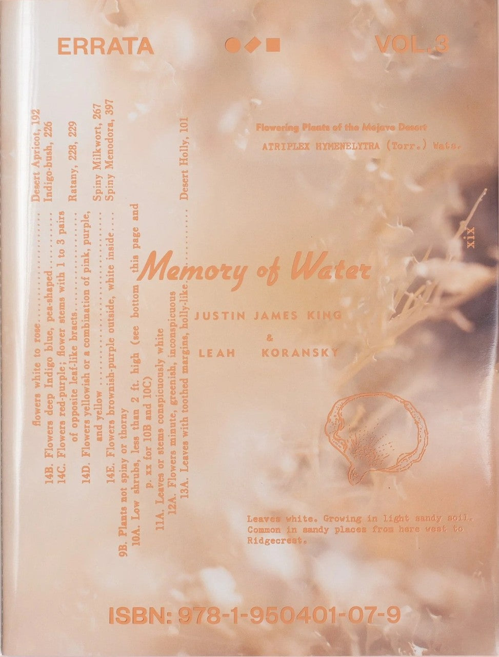 Errata Vol. 3 – Memory of Water