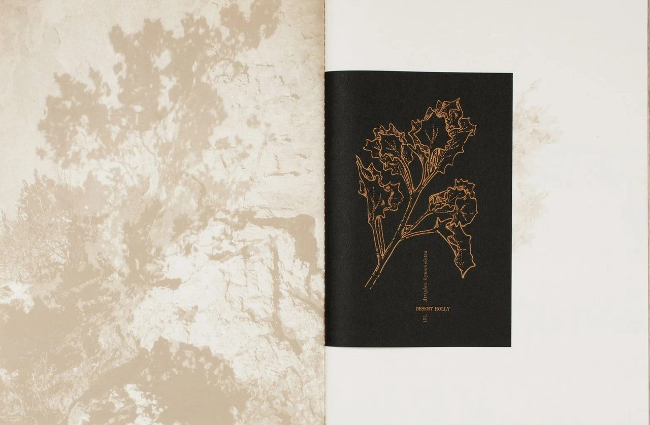 Errata Vol. 3 – Memory of Water