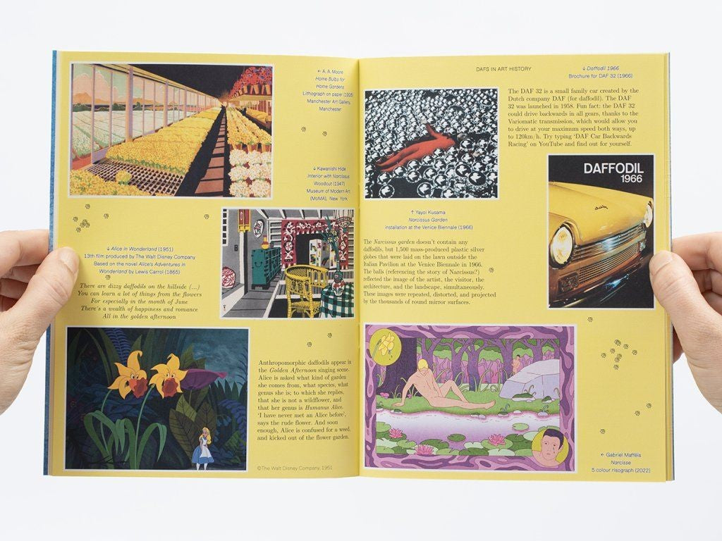 Pleasant Place 7: Daffodils (Narcissus)