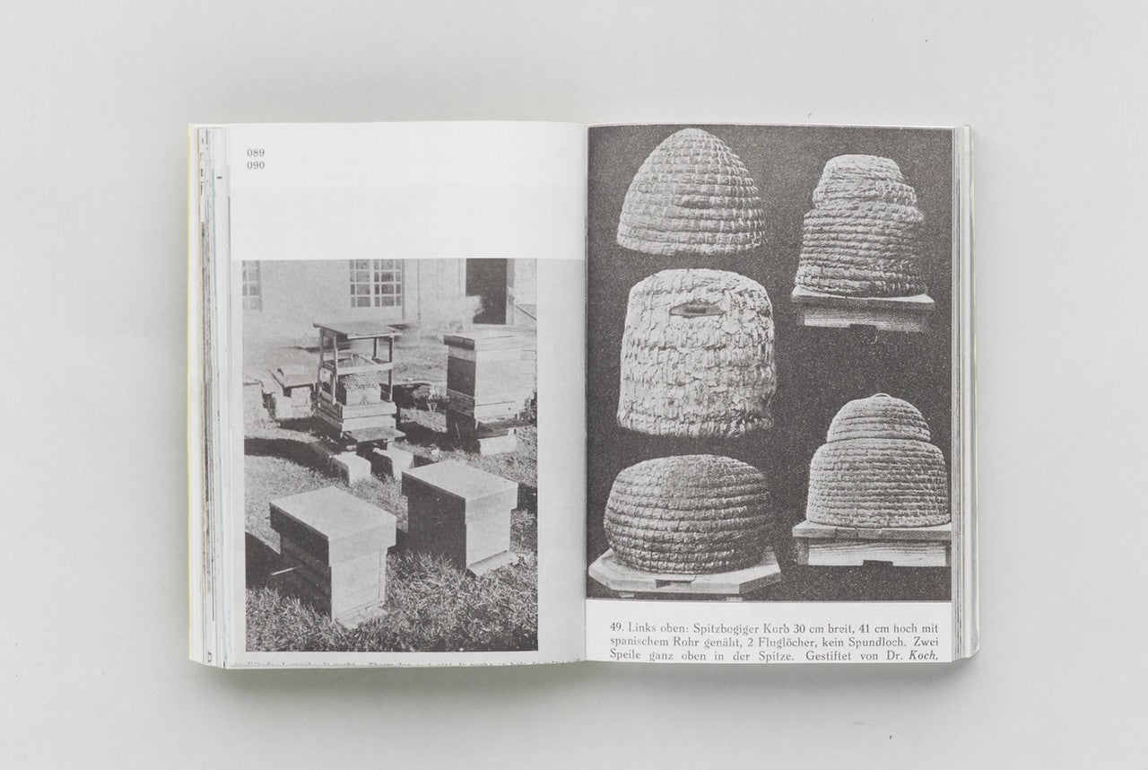 HIVES: A Visual History of the Beehive