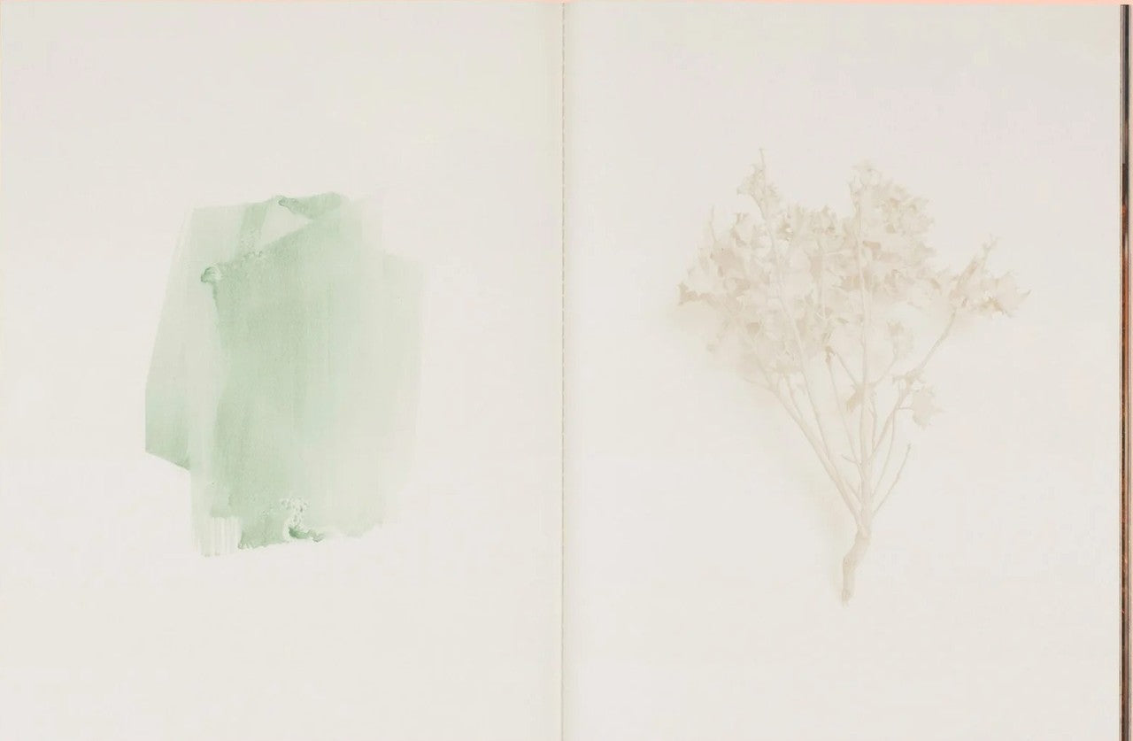 Errata Vol. 3 – Memory of Water