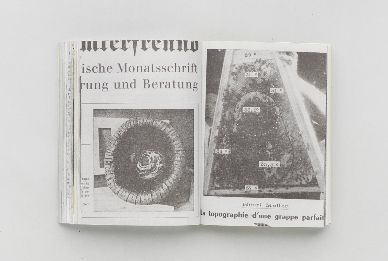 HIVES: A Visual History of the Beehive