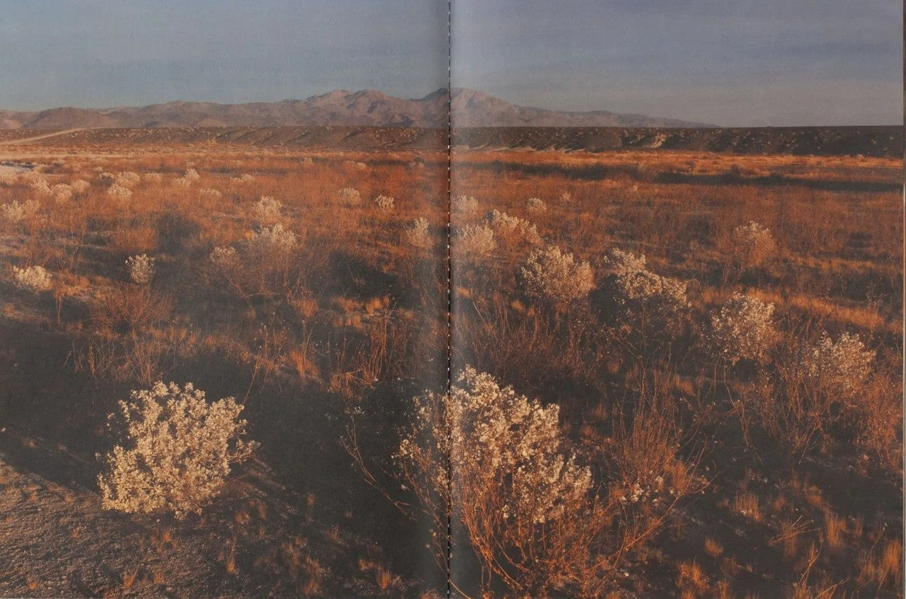 Errata Vol. 3 – Memory of Water