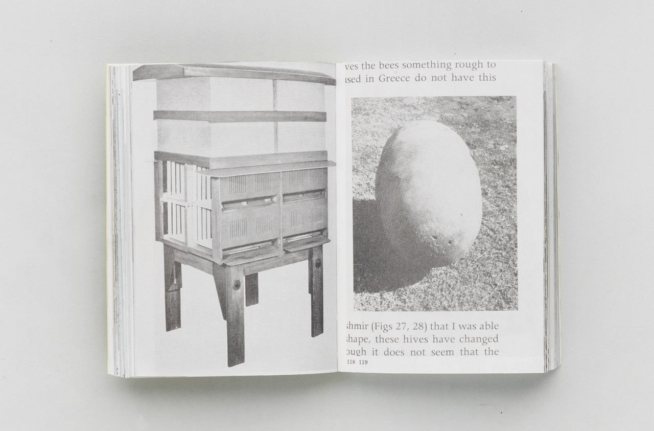 HIVES: A Visual History of the Beehive